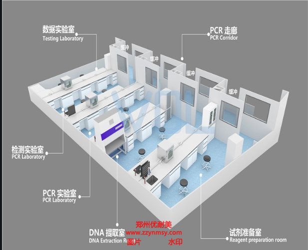 鄭州PCR實驗室設計的基本要求有哪些？